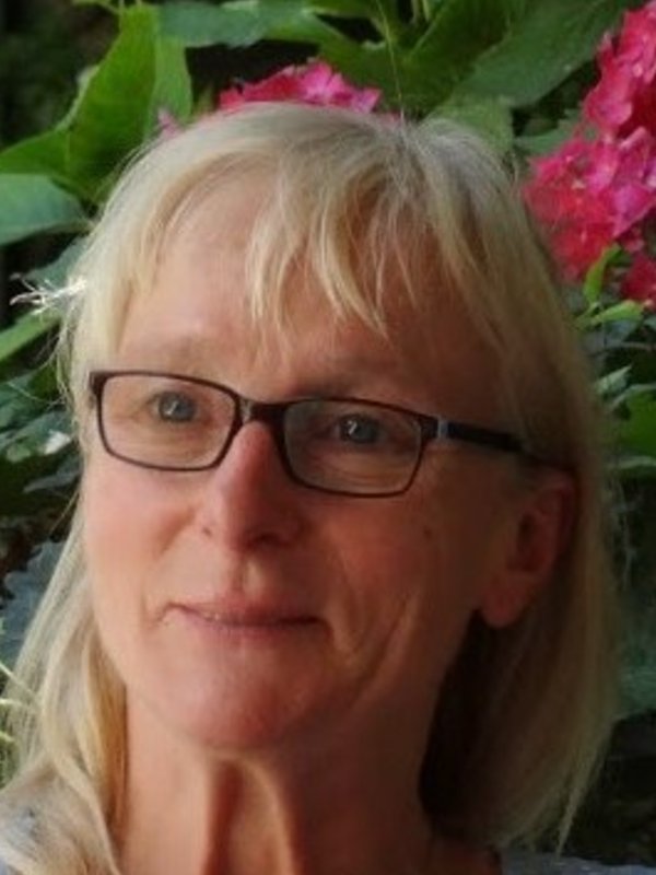 Dominique MASSIP
